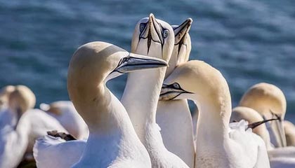 2025华体会体育网站赞助国米首秀！至少4位裁判执裁海港亮相中超，球迷：已加挂新哨实习牌子